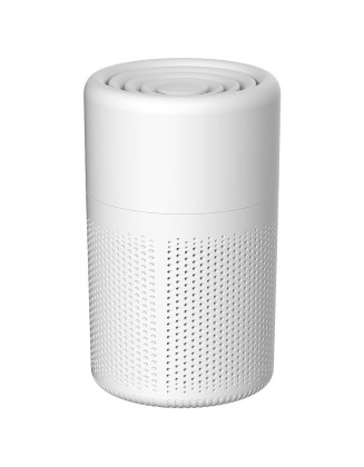 Negative ion indoor odor removal air purifier