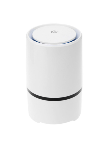 Negative Ion Air Purifier with Integrated Humidification  