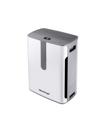 Negative Ion Air Purifier with Integrated Humidification