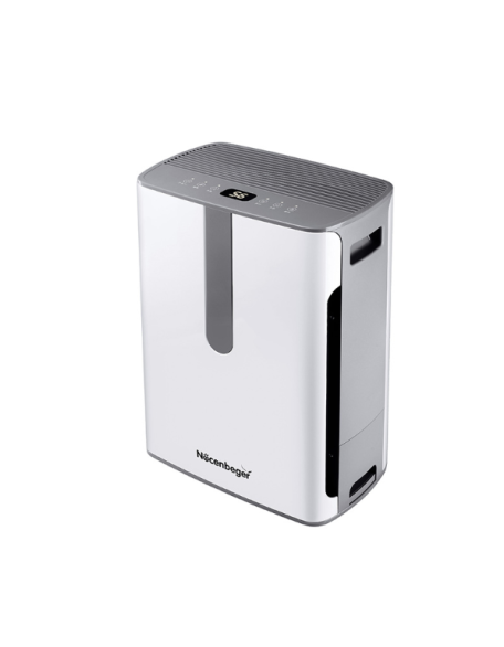 Negative Ion Air Purifier with Integrated Humidification