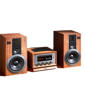 Edifier/R2000DB Classic Edition HIFI Bookshelf Bluetooth Speaker  