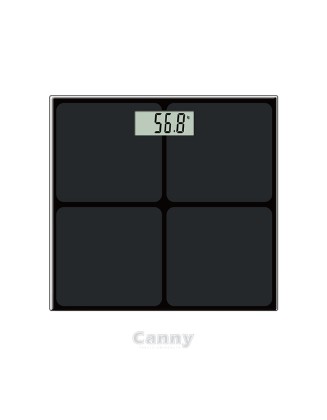 Canny high-precision household scale